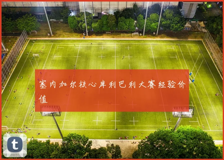 塞内加尔核心库利巴利大赛经验价值