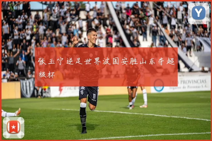 张玉宁逆足世界波国安胜山东夺超级杯