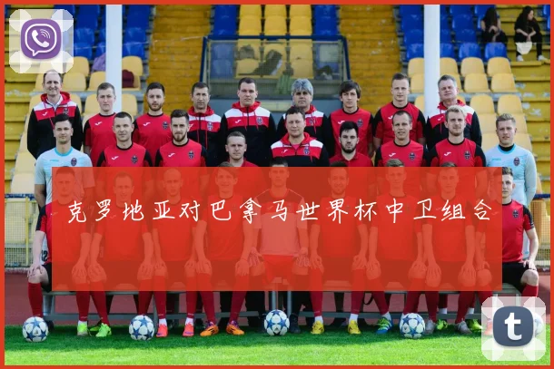 克罗地亚对巴拿马世界杯中卫组合