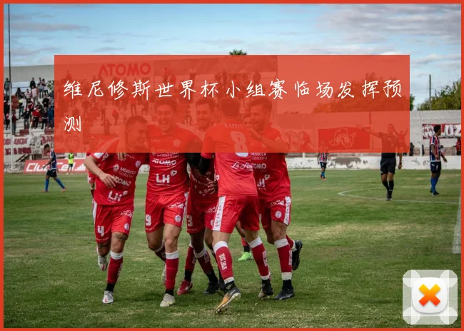 维尼修斯世界杯小组赛临场发挥预测