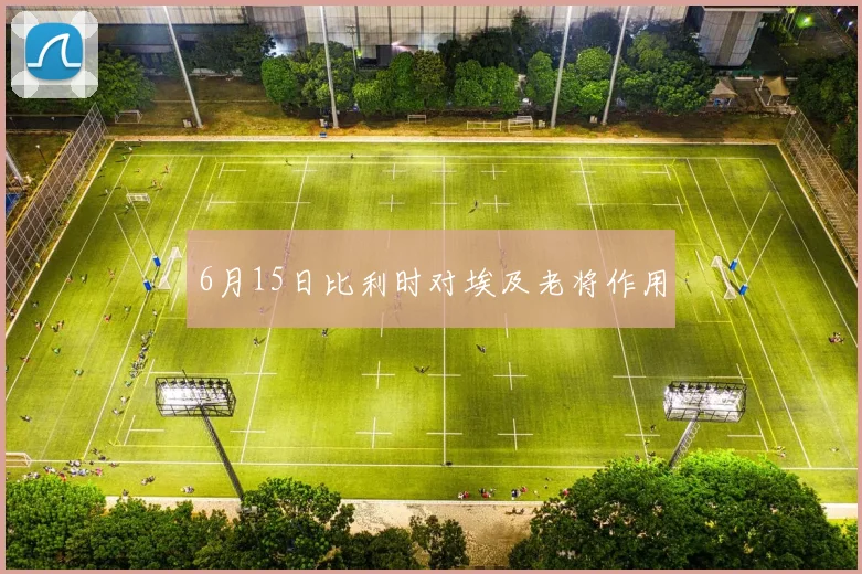 6月15日比利时对埃及老将作用