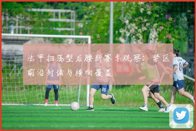 法甲扫荡型后腰新赛季观察：禁区前沿封堵与横向覆盖