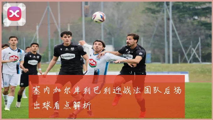 塞内加尔库利巴利迎战法国队后场出球看点解析