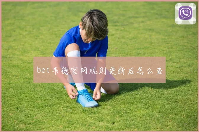 bet韦德官网规则更新后怎么查