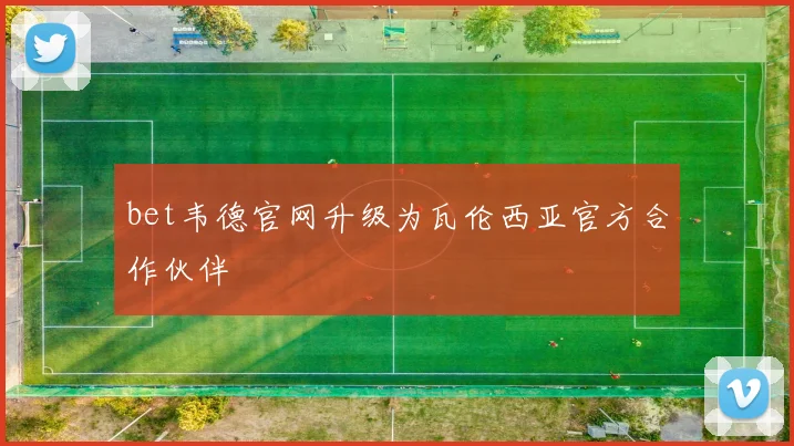 bet韦德官网升级为瓦伦西亚官方合作伙伴