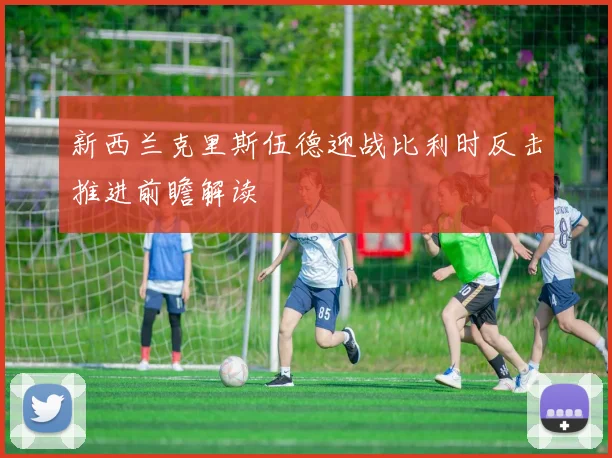 新西兰克里斯伍德迎战比利时反击推进前瞻解读